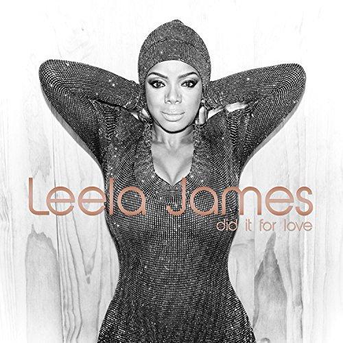 Album cover art for Did It for Love