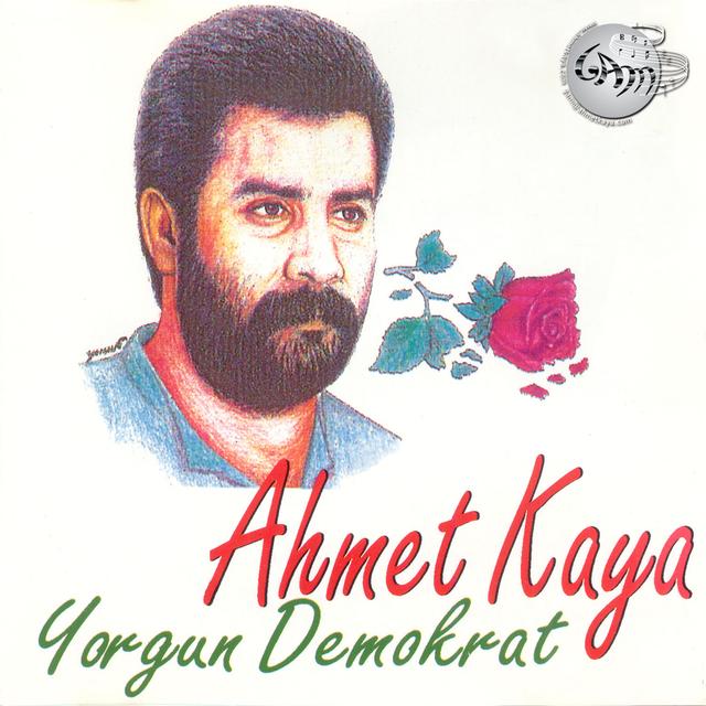 Album cover art for Yorgun Demokrat