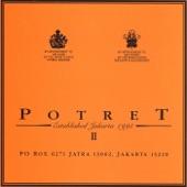 Album cover art for Potret II