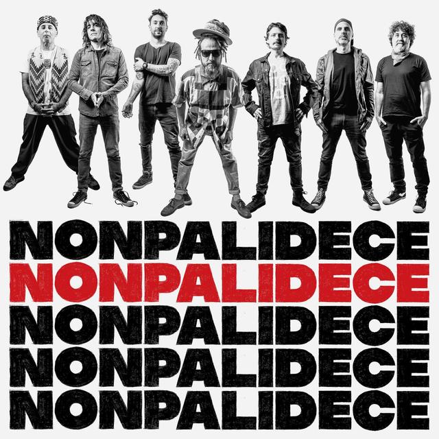 Album cover art for Nonpalidece