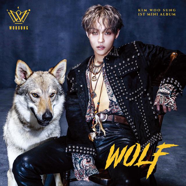 Album cover art for Wolf