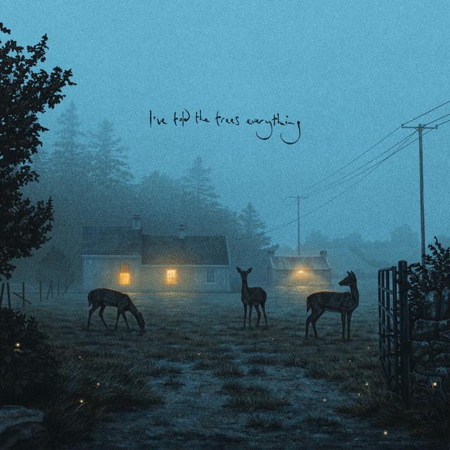 Album cover art for I've told the trees everything