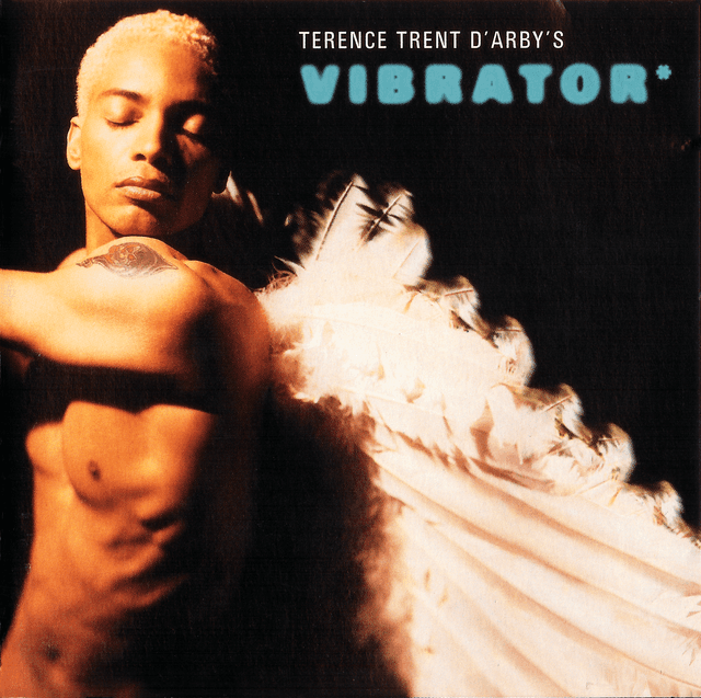 Album cover art for Vibrator