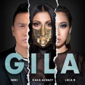 Album cover art for Gila