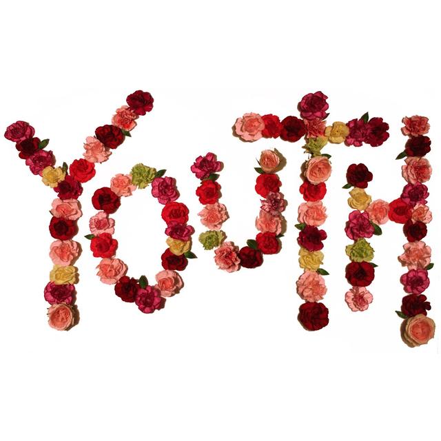 Album cover art for Youth