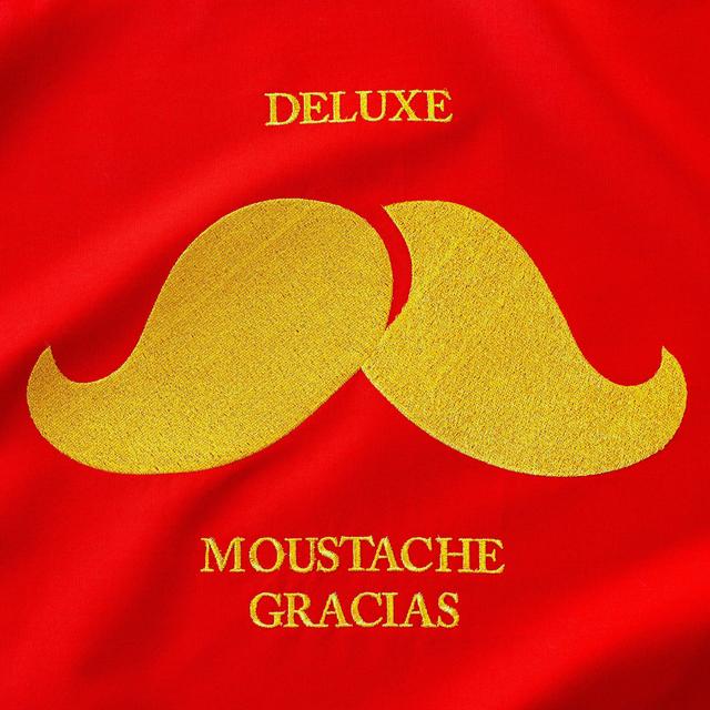 Album cover art for Moustache Gracias