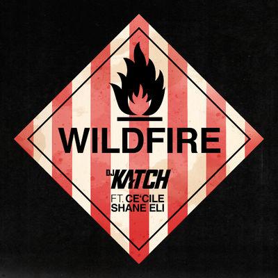 Album cover art for Wildfire