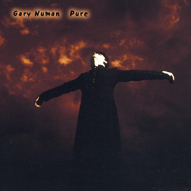 Album cover art for Pure