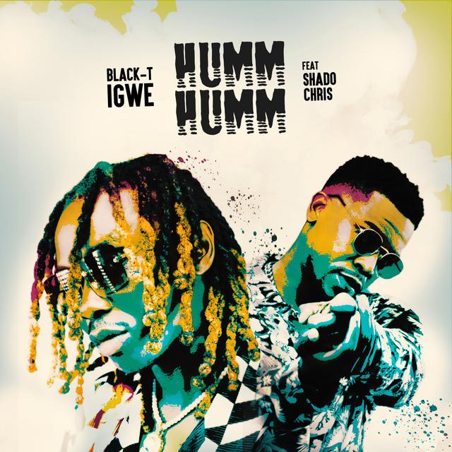 Album cover art for Humm Humm