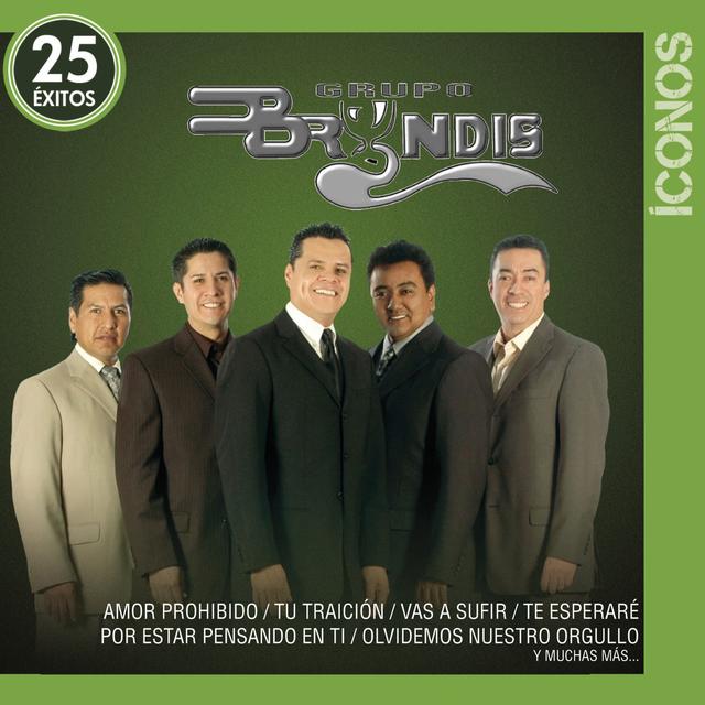 Album cover art for Íconos 25 Éxitos