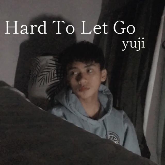 Album cover art for Hard To Let Go