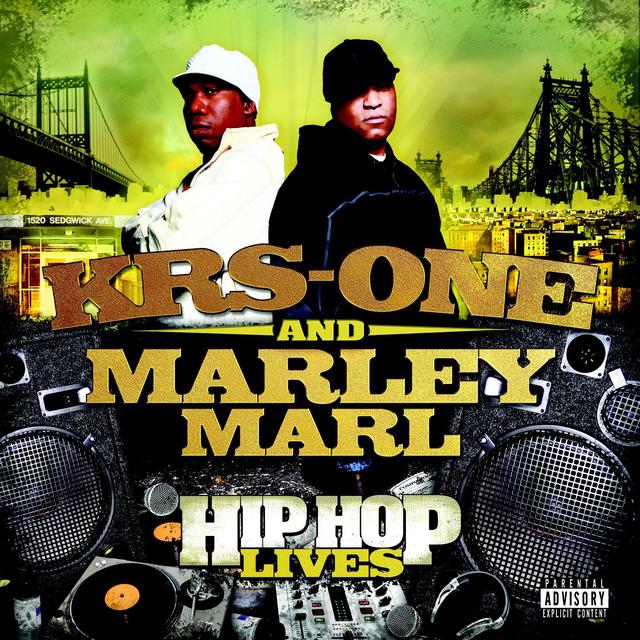 Album cover art for Hip Hop Lives