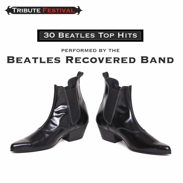 Album cover art for 30 Beatles Top Hits