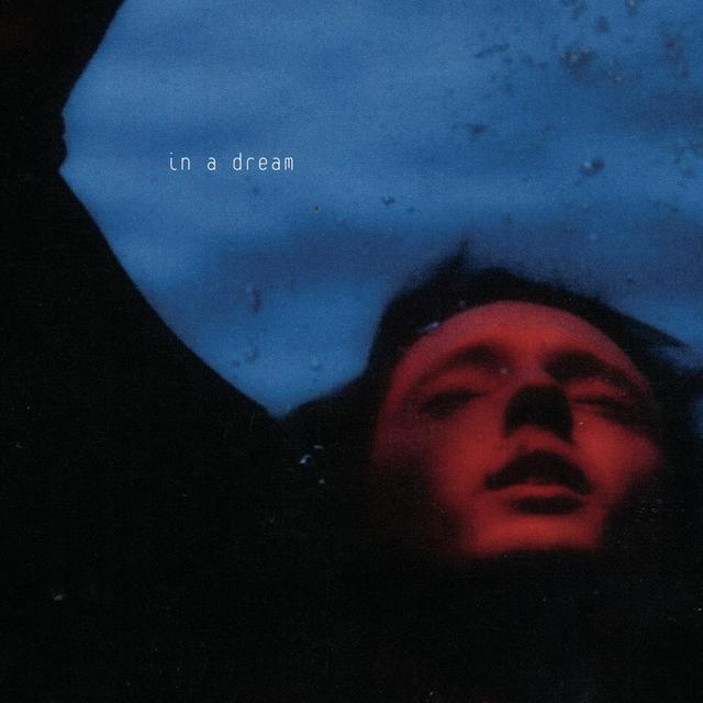 Album cover art for In A Dream