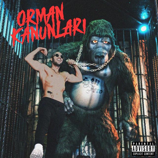 Album cover art for ORMAN KANUNLARI