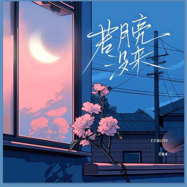 Album cover art for 若月亮没来（若是月亮还没来）