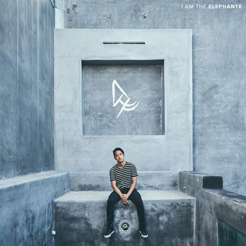 Album cover art for I Am the Elephante