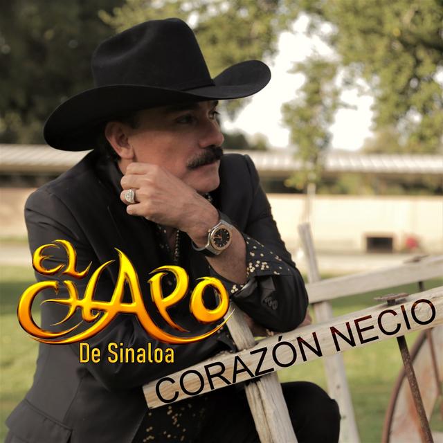 Album cover art for Corazón Necio