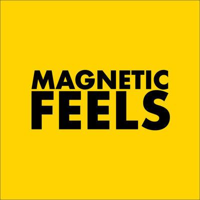 Album cover art for Magnetic Feels