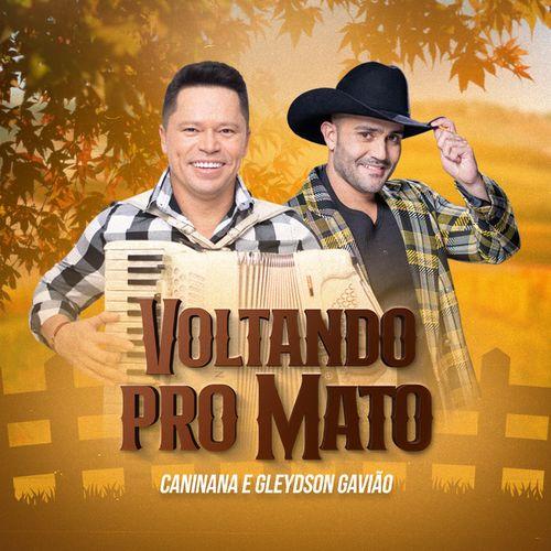 Album cover art for Voltando pro Mato