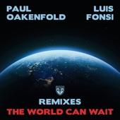 Album cover art for The World Can Wait (Remixes)