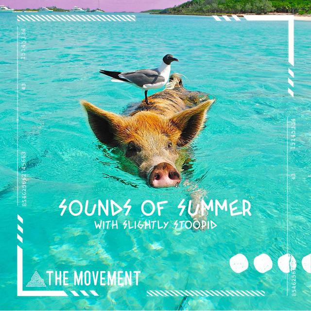 Album cover art for Sounds of Summer - Single