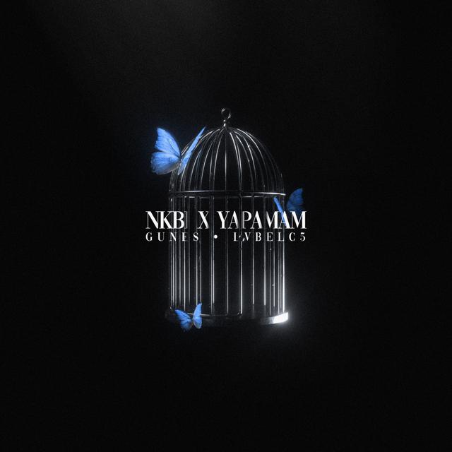 Album cover art for NKBİ X YAPAMAM (Remix)