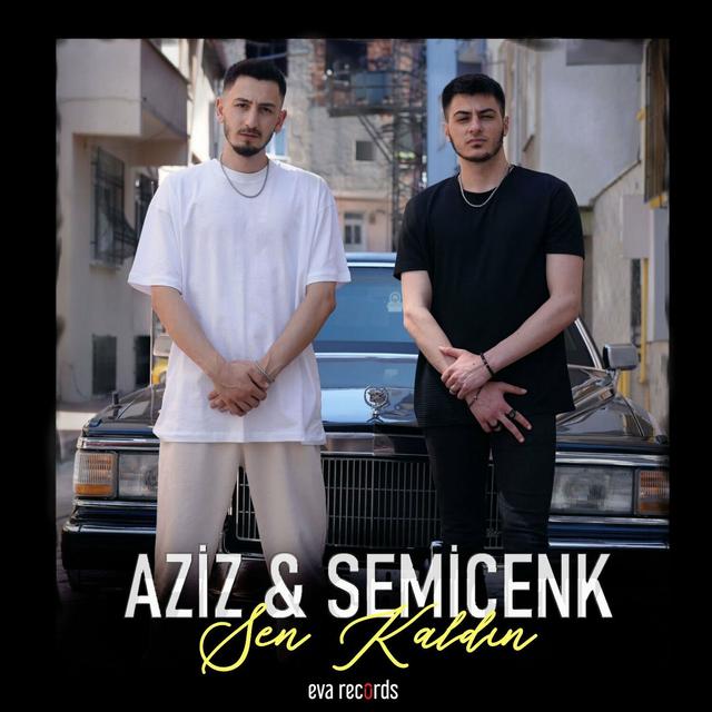 Album cover art for Sen Kaldın