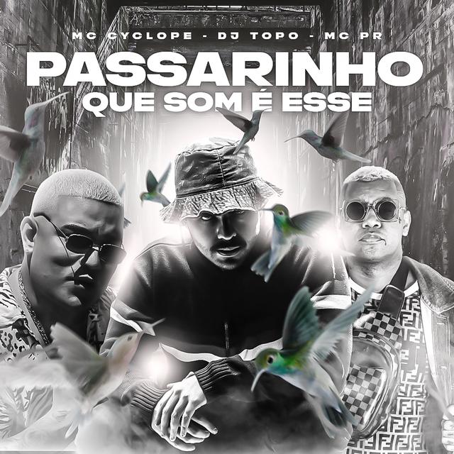 Album cover art for Passarinho Que Som É Esse