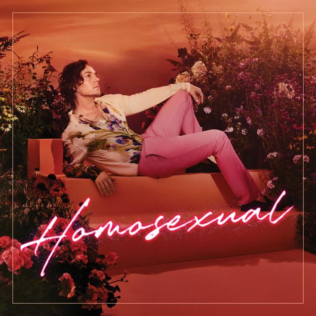 Album cover art for Homosexual