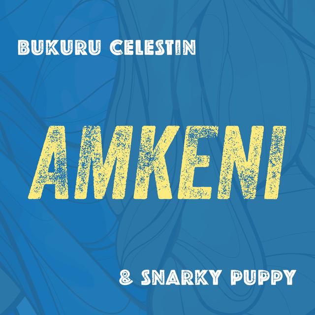 Album cover art for Amkeni