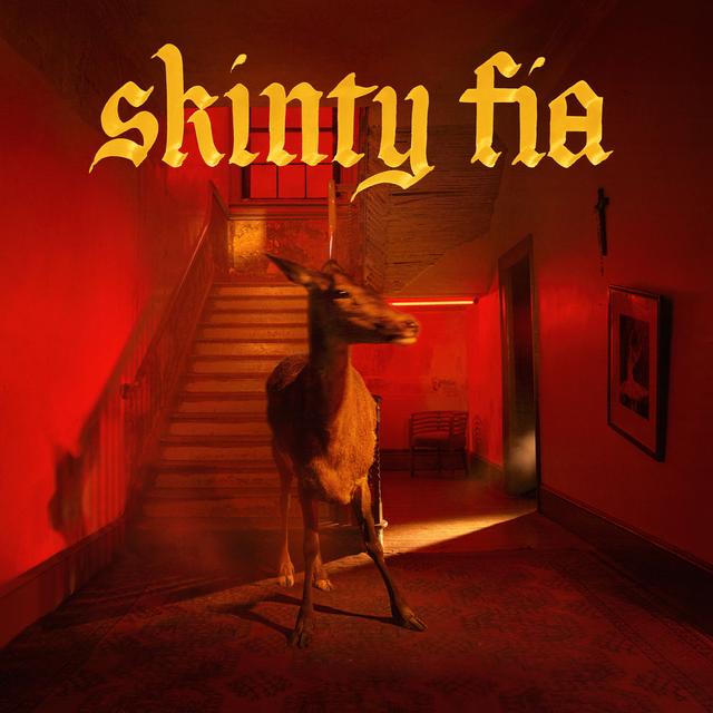 Album cover art for Skinty Fia