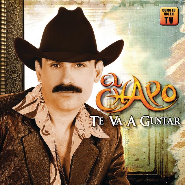 Album cover art for Te Va A Gustar