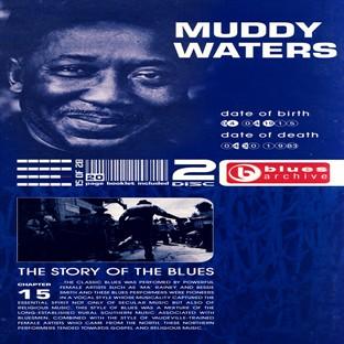 Album cover art for Muddy Waters