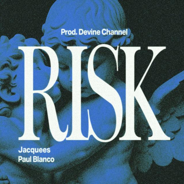 Album cover art for Risk