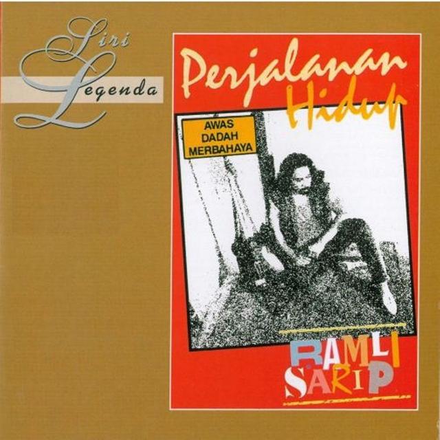 Album cover art for Perjalanan Hidup