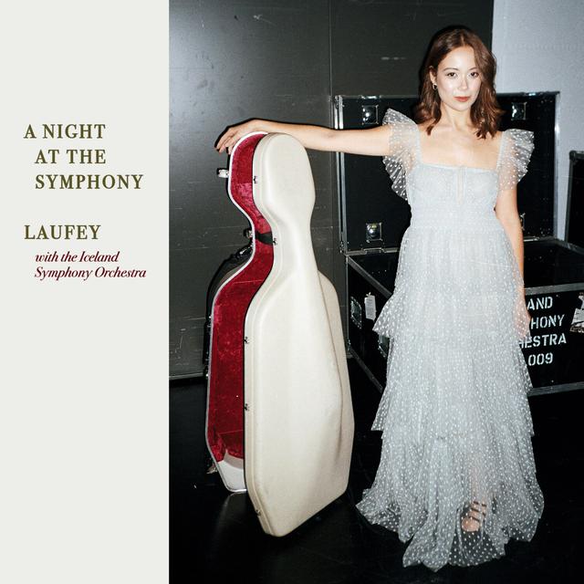 Album cover art for A Night at the Symphony