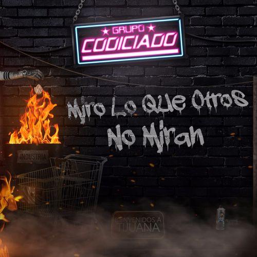 Album cover art for Miro Lo Que Otros No Miran