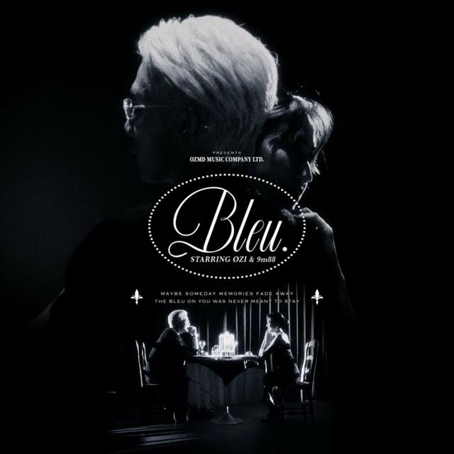 Album cover art for BLEU