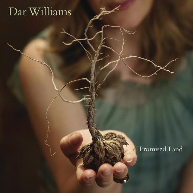 Album cover art for Promised Land