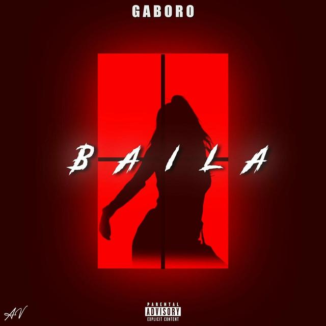 Album cover art for Baila