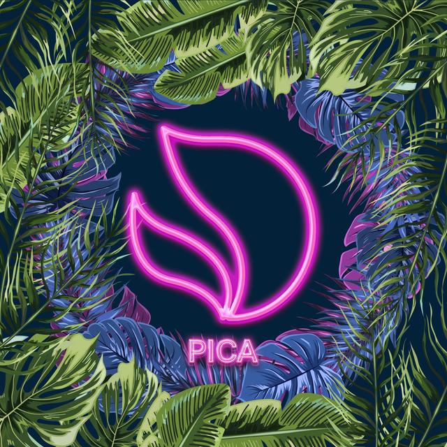 Album cover art for Pica