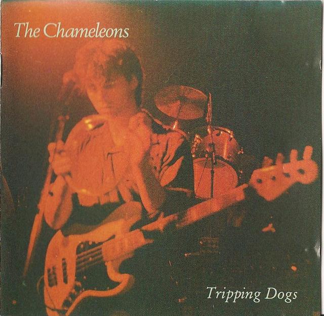 Album cover art for Tripping Dogs