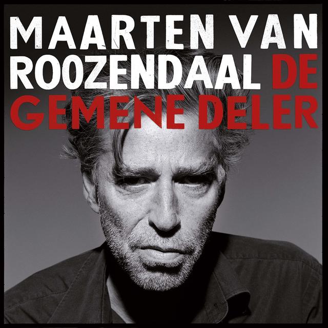 Album cover art for De gemene deler