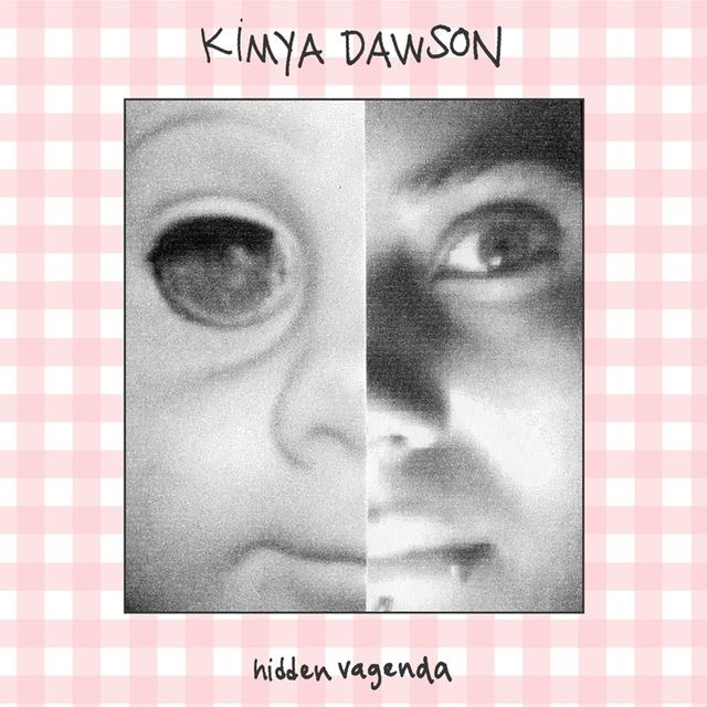 Album cover art for Hidden Vagenda