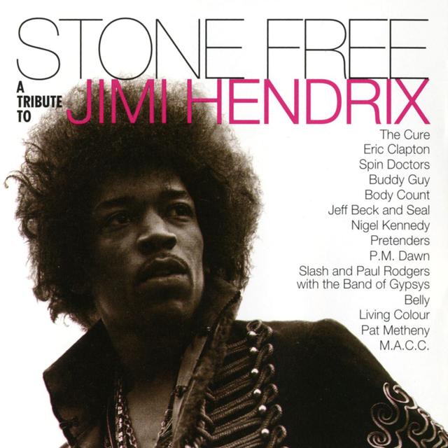 Album cover art for Stone Free: A Tribute to Jimi Hendrix