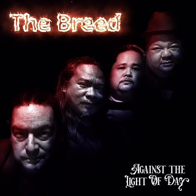 Album cover art for Against the Light of Day