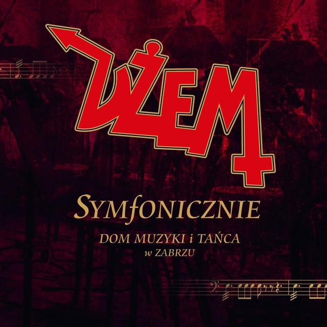 Album cover art for Symfonicznie (live)