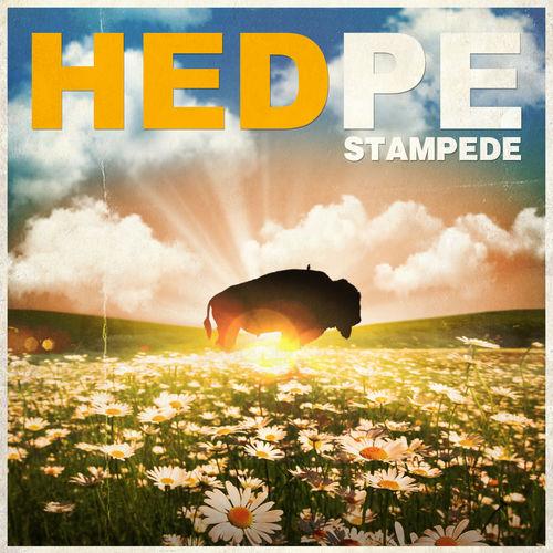 Album cover art for Stampede