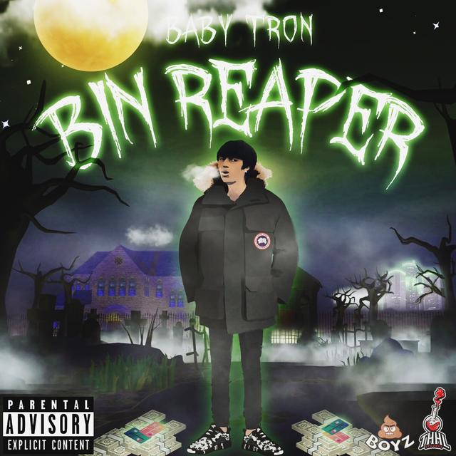 Album cover art for Bin Reaper